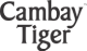 cambay tiger logo